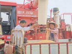 <b>从田间到车间的丰收“接力”——山东夏日农业</b>